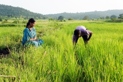 Amritsingh working in his fields, while wife Monika looks on.